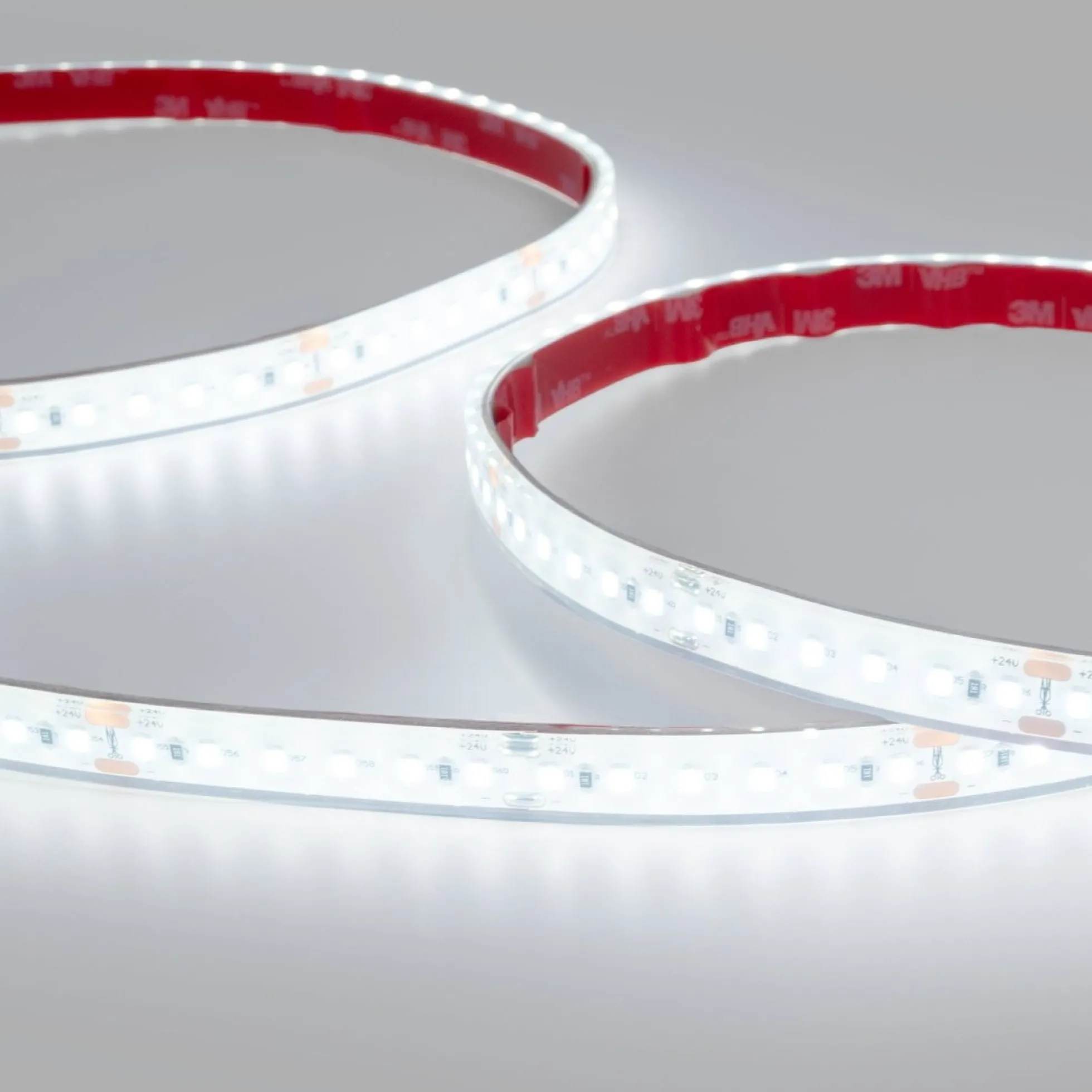 Tira LED 24V DC sumergible - Monocolor - 9.6W/m - 12mm - IP68 - 10 metros - 120ch/m