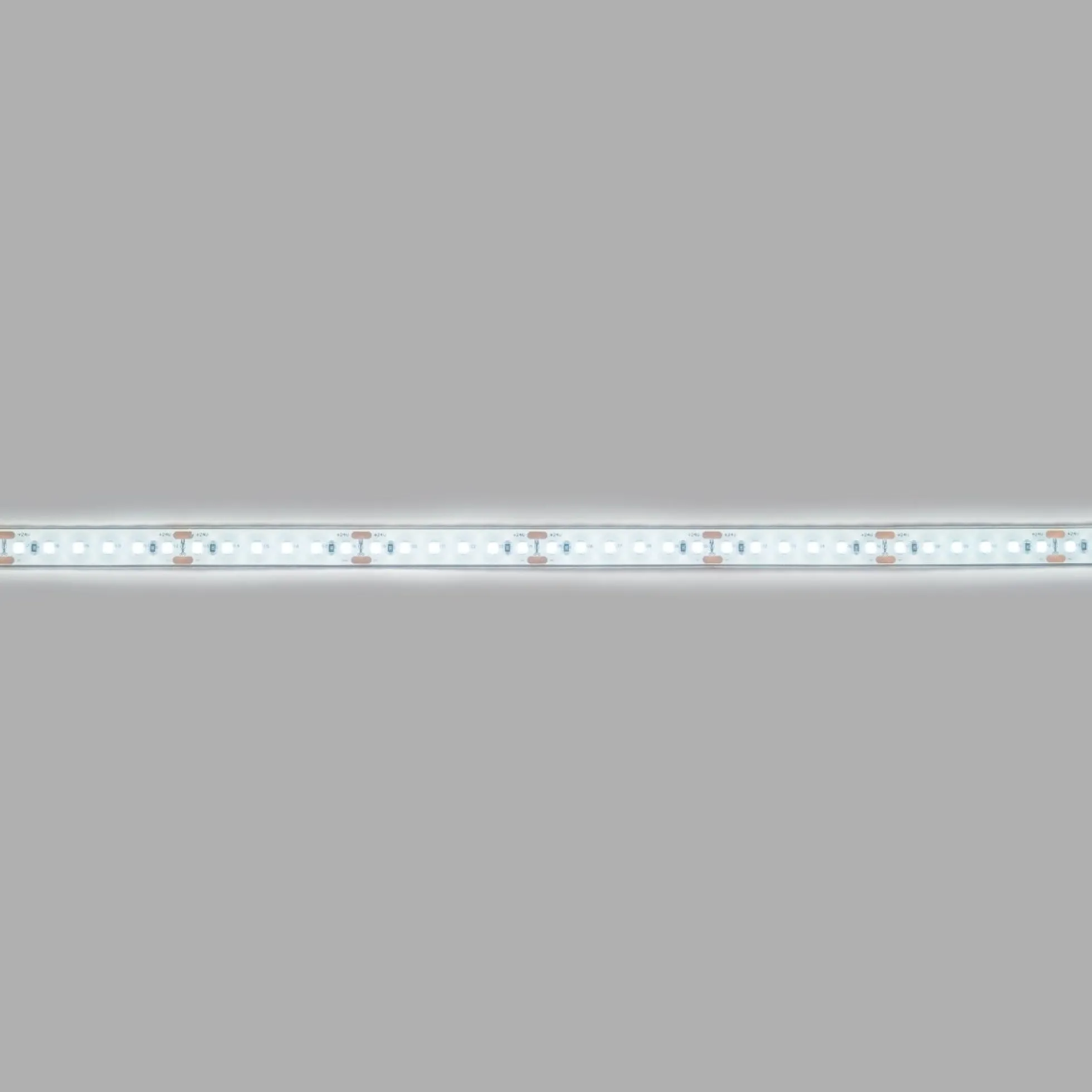 Tira LED 24V DC sumergible - Monocolor - 9.6W/m - 12mm - IP68 - 10 metros - 120ch/m