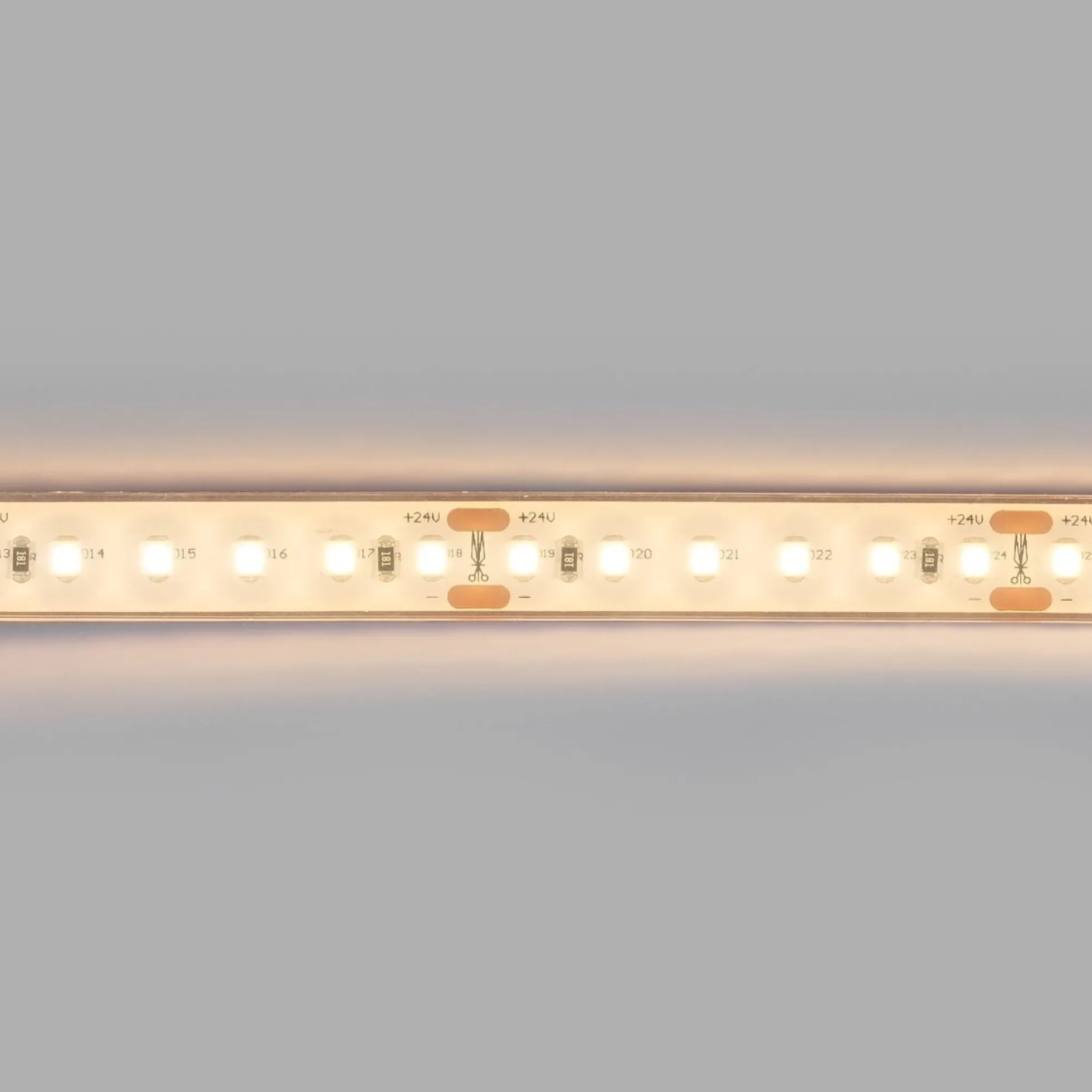 Tira LED 24V DC sumergible - Monocolor - 9.6W/m - 12mm - IP68 - 10 metros - 120ch/m