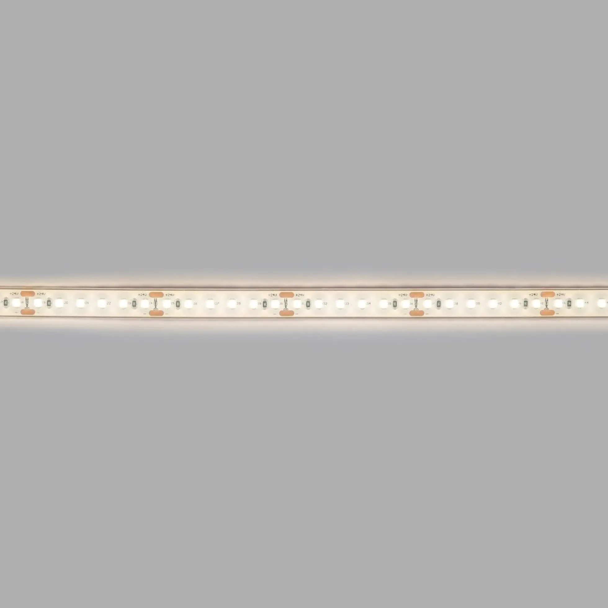 Tira LED 24V DC sumergible - Monocolor - 9.6W/m - 12mm - IP68 - 10 metros - 120ch/m