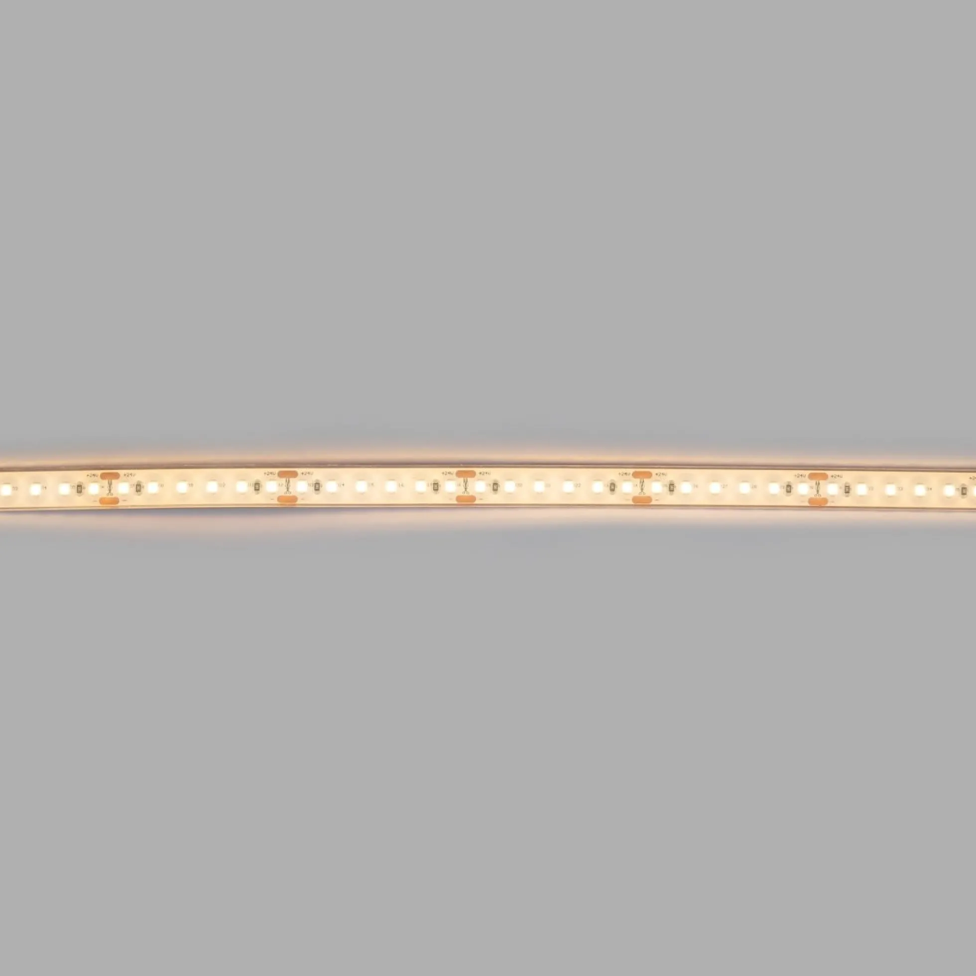 Tira LED 24V DC sumergible - Monocolor - 9.6W/m - 12mm - IP68 - 10 metros - 120ch/m