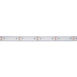 Tira LED 24V DC sumergible - Monocolor - 9.6W/m - 12mm - IP68 - 10 metros - 120ch/m