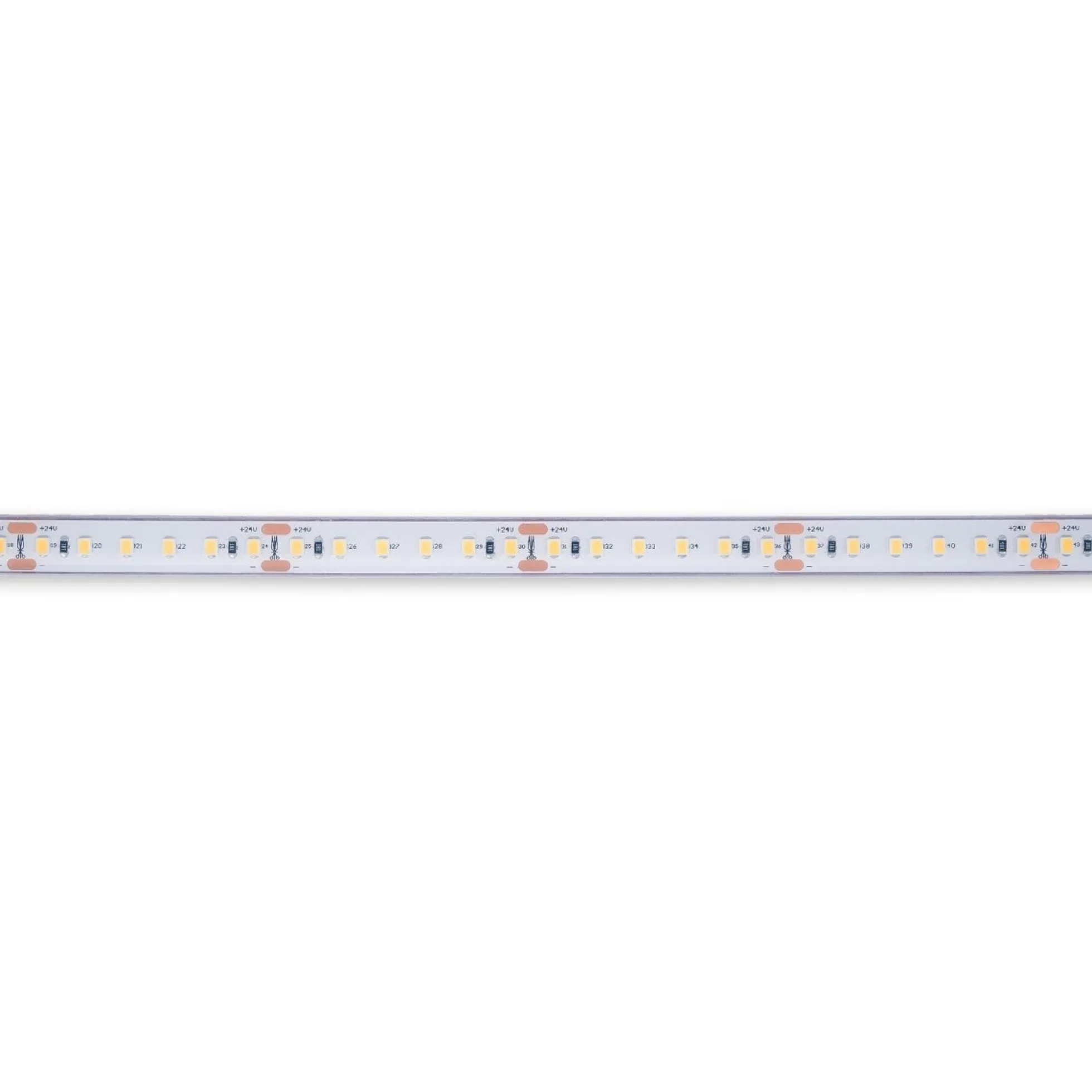 Tira LED 24V DC sumergible - Monocolor - 9.6W/m - 12mm - IP68 - 10 metros - 120ch/m