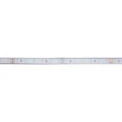 Tira LED 24V DC - 12W/m - Monocolor- 12mm - IP67 - 5 metros - SMD2835 60ch/m