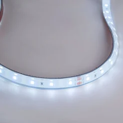 Tira LED 24V DC - 12W/m - Monocolor- 12mm - IP67 - 5 metros - SMD2835 60ch/m