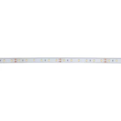 Tira LED 24V DC - 12W/m - Monocolor- 12mm - IP67 - 5 metros - SMD2835 60ch/m