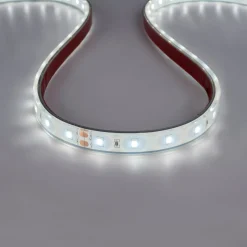 Tira LED 24V DC - 12W/m - Monocolor- 12mm - IP67 - 5 metros - SMD2835 60ch/m