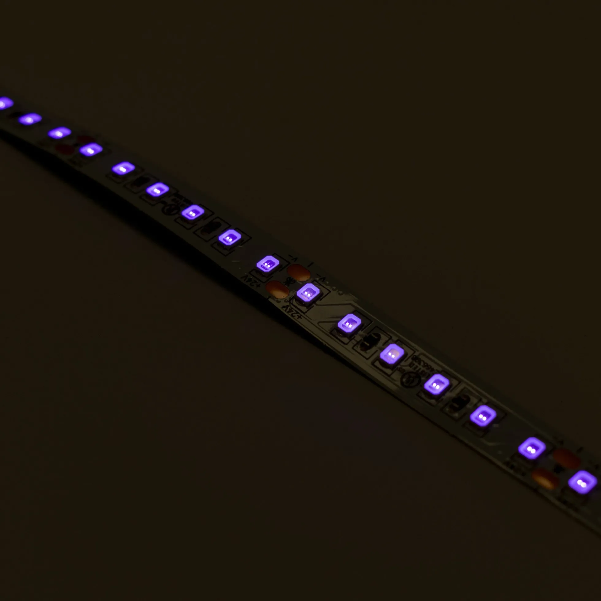 Tira LED 24V DC - 18W/m - Ultravioleta - 10mm - IP20 - 5 metros - SMD2835 120ch/m