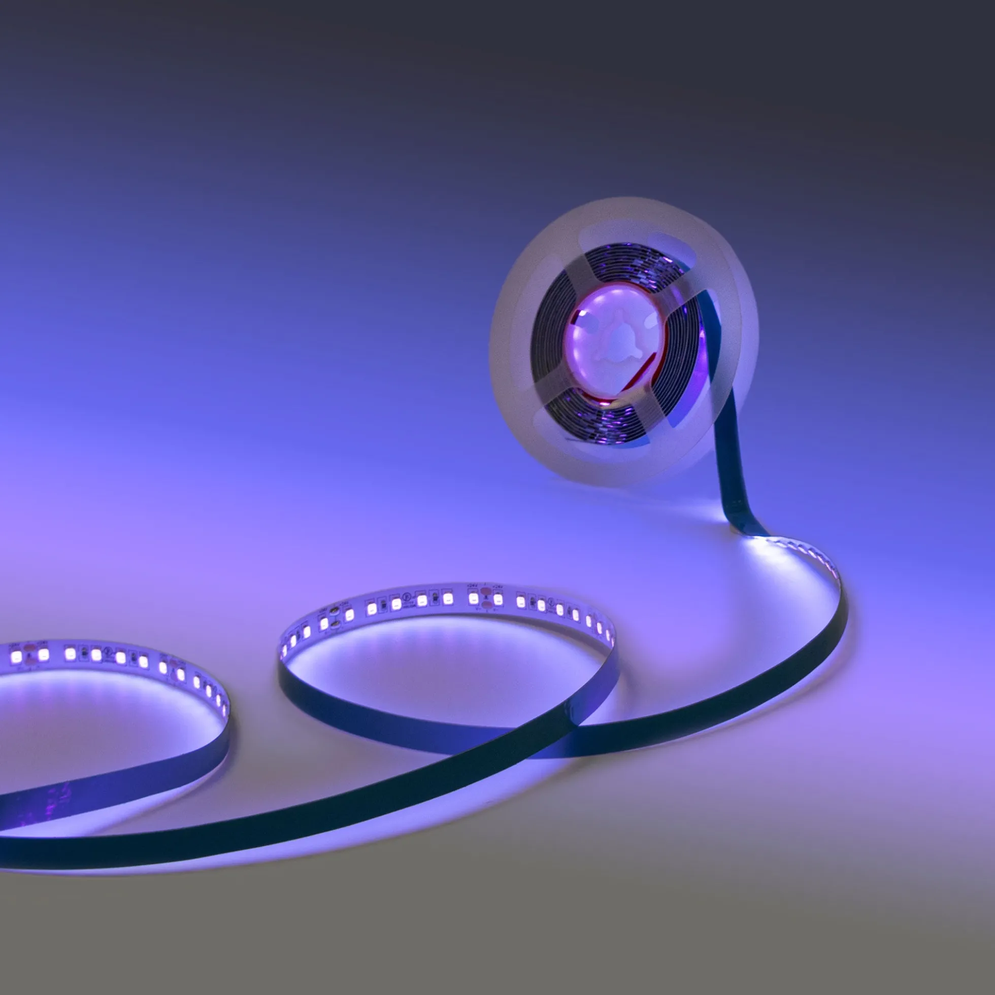Tira LED 24V DC - 18W/m - Ultravioleta - 10mm - IP20 - 5 metros - SMD2835 120ch/m