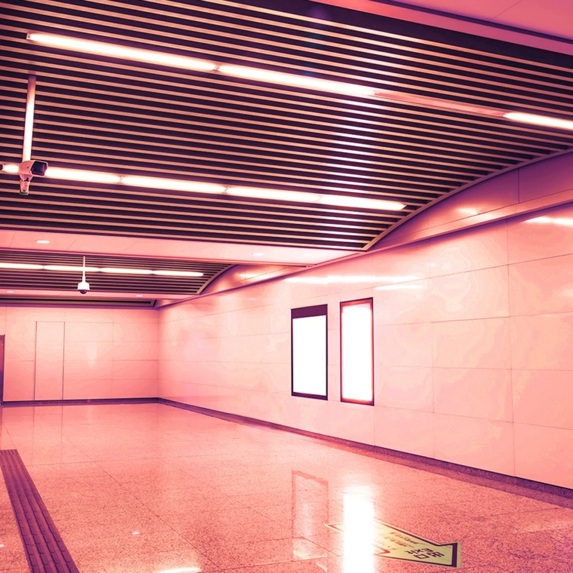 Tubo LED T8 60cm de colores - 9W