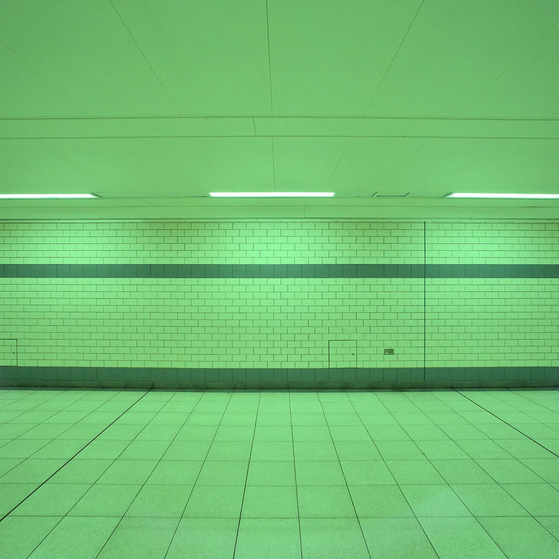 Tubo LED T8 120cm de colores -18 W