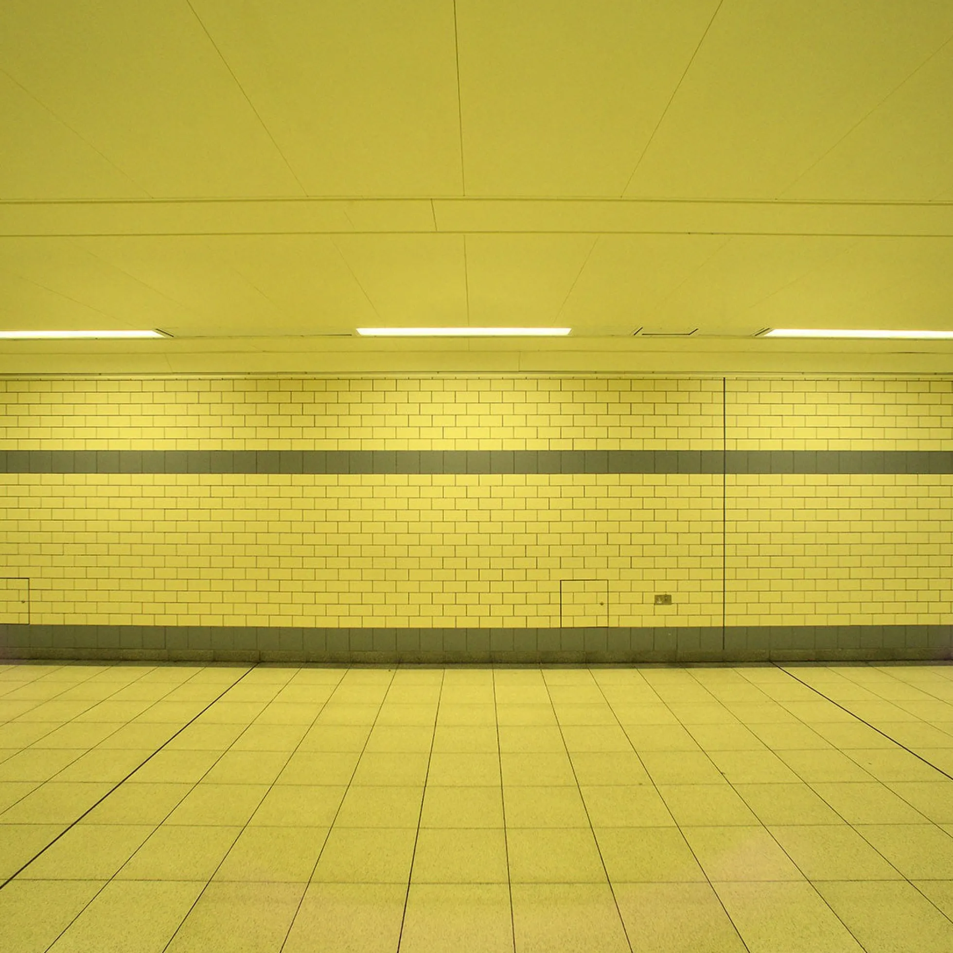 Tubo LED T8 120cm de colores -18 W