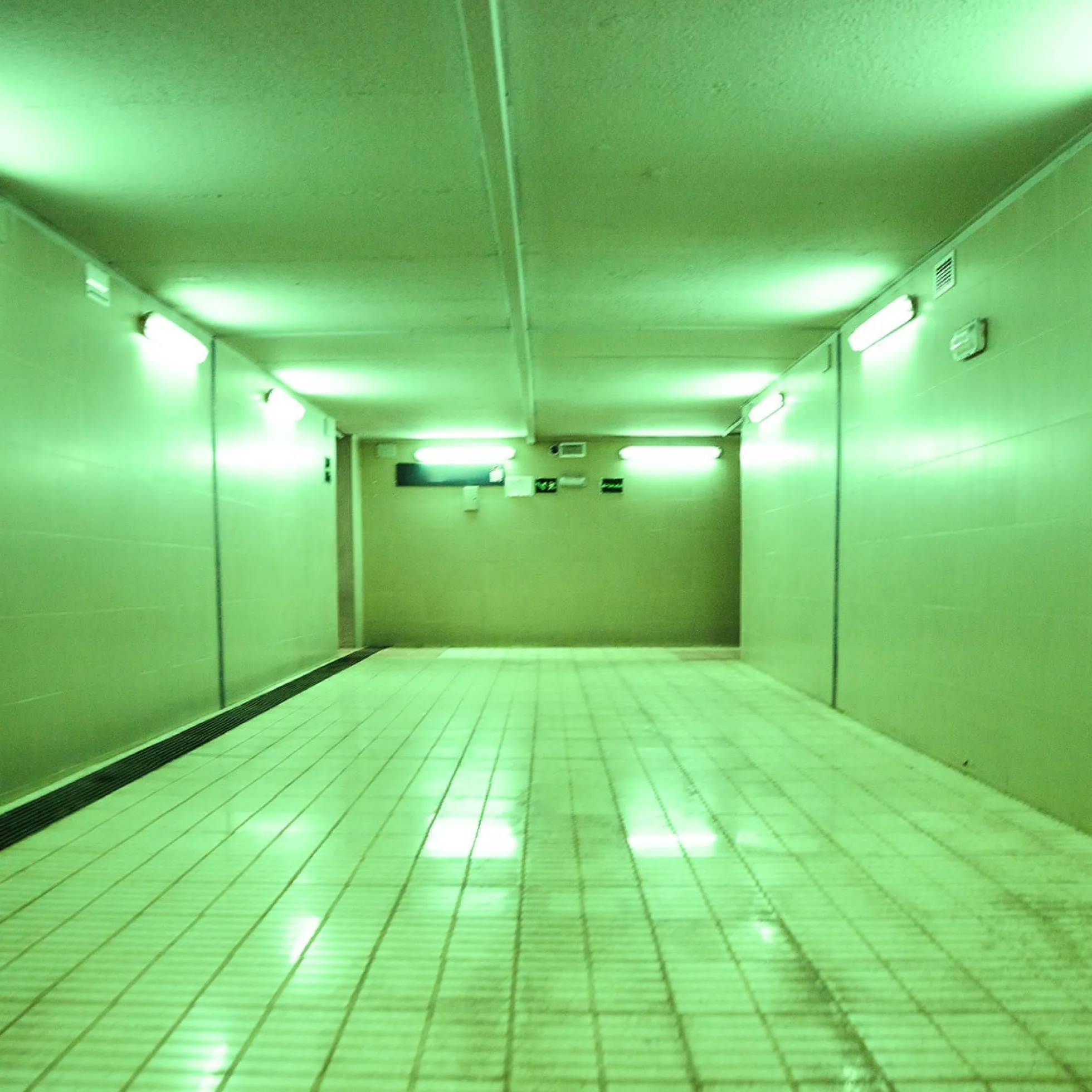 Tubo LED T8 120cm de colores -18 W