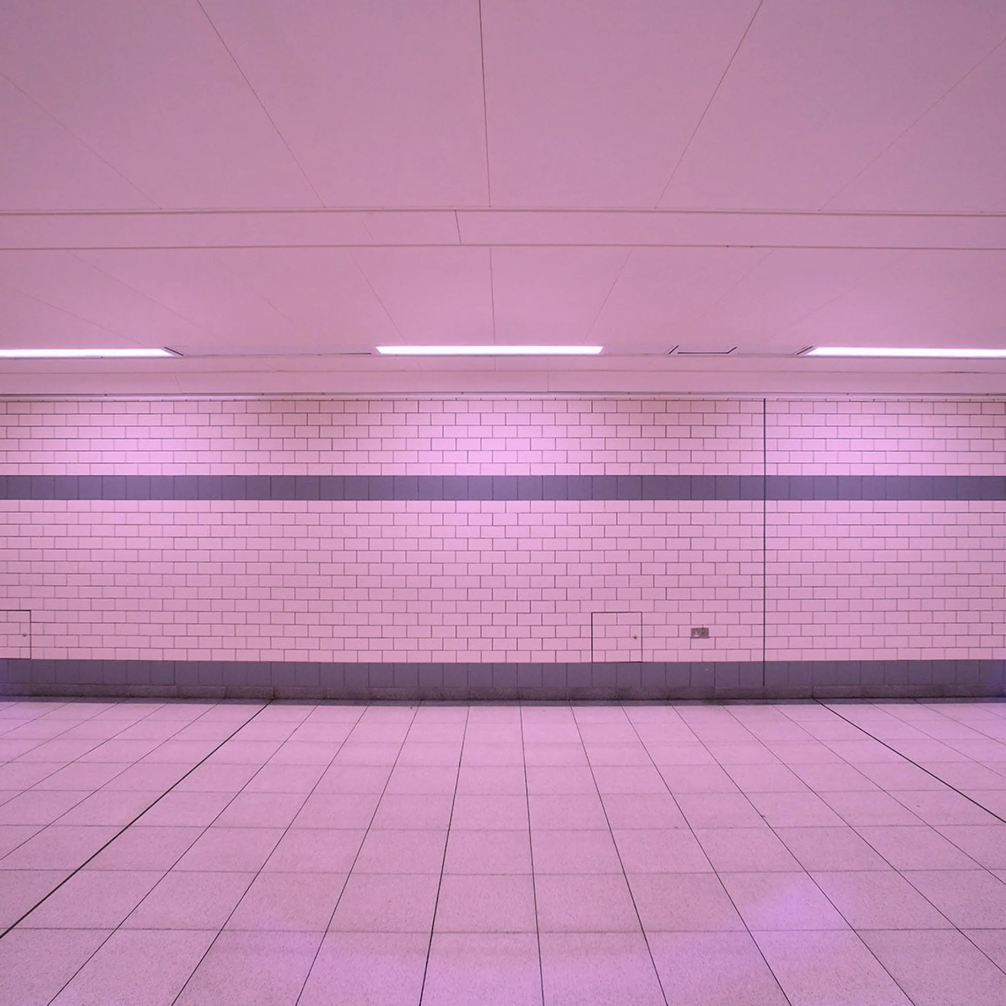 Tubo LED T8 120cm de colores -18 W