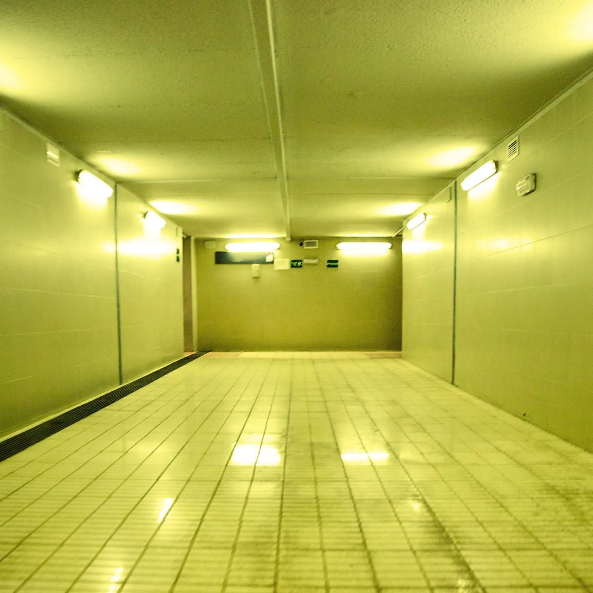 Tubo LED T8 120cm de colores -18 W