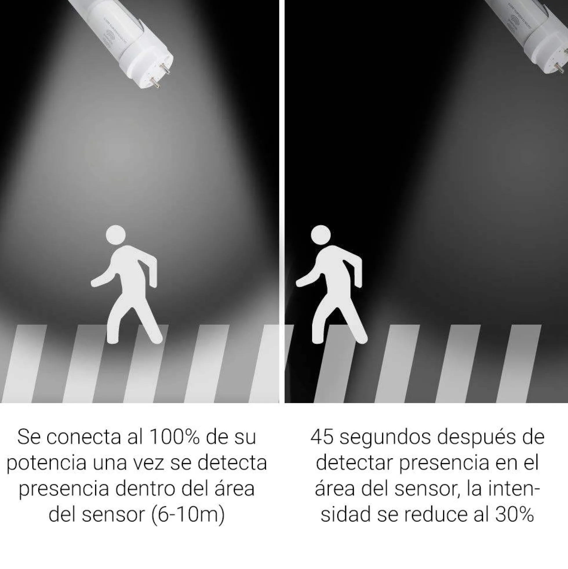 Tubo LED T8 150cm 24W con sensor microondas blanco 6000K cristal opal