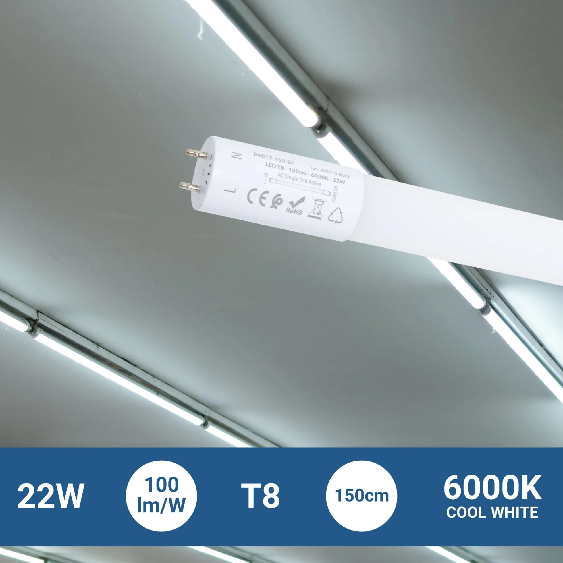 Tubo LED T8 con sensor de movimiento microondas 30-100% - 22W - 150 cm - 6000K