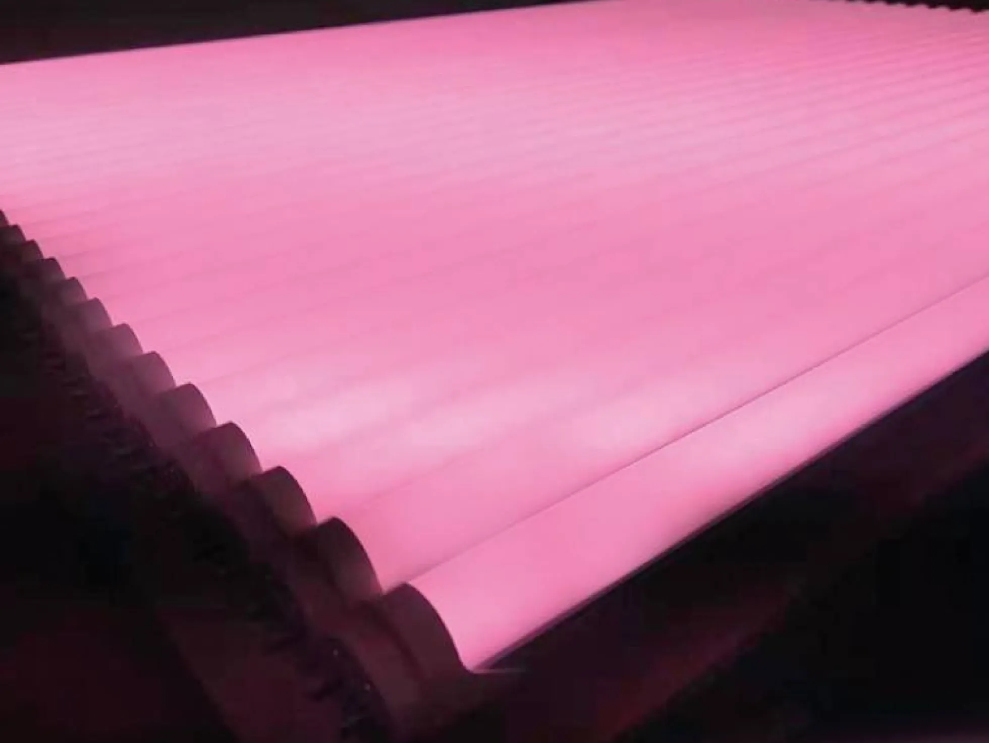 Tubo LED T8 especial carnicerías 120cm 18W