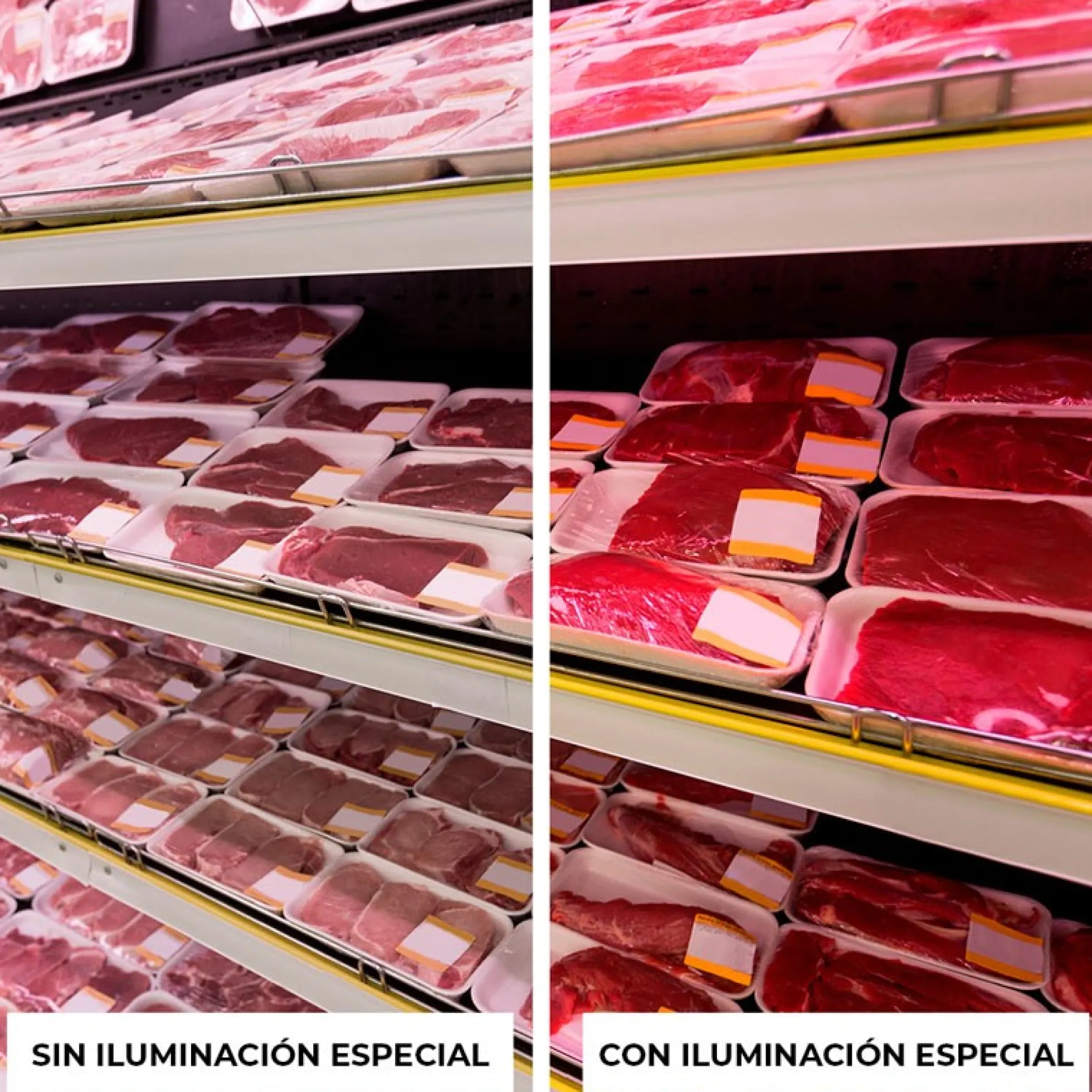 Tubo LED T8 especial carnicerías 150cm 22W