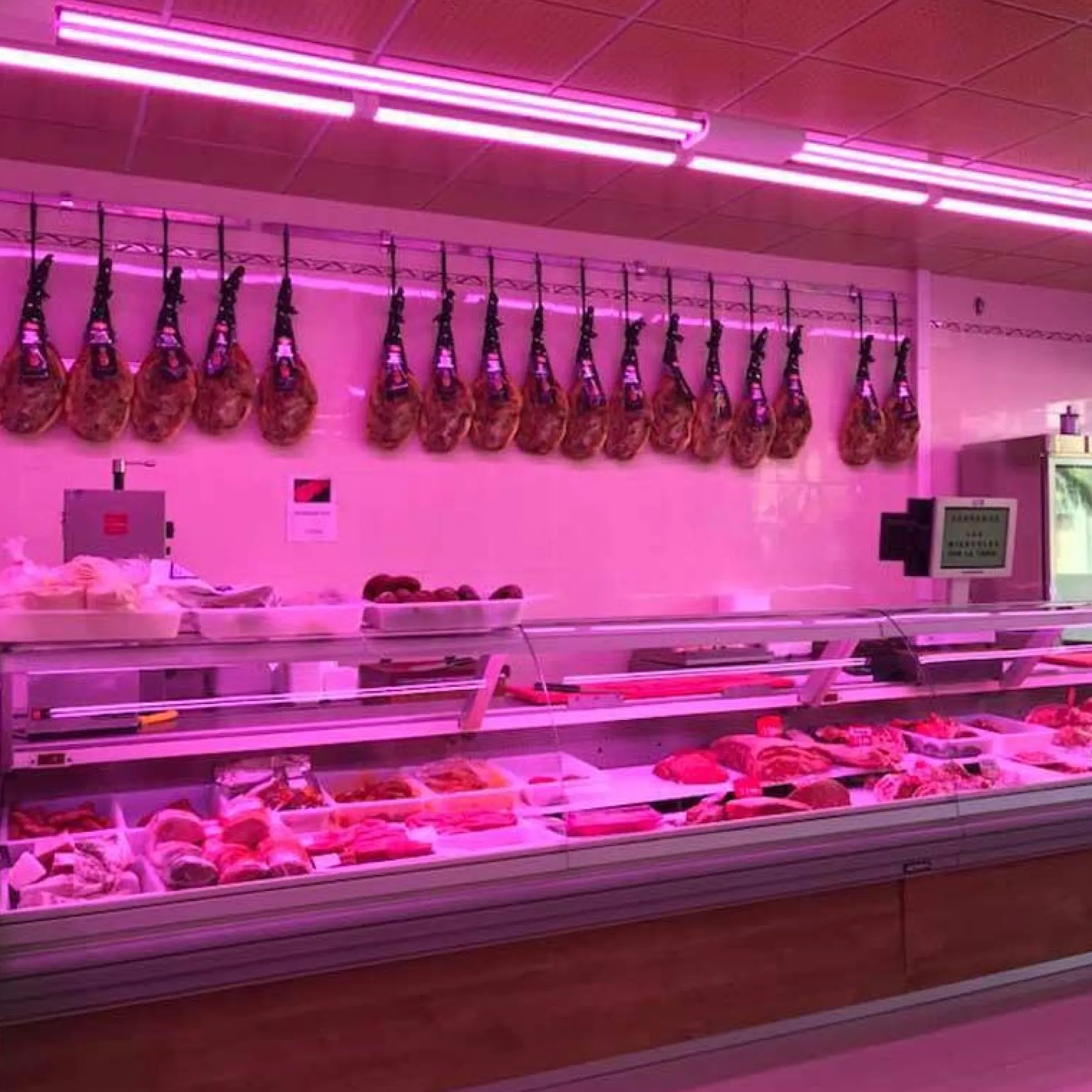 Tubo LED T8 nano especial carnicerías 90cm 14W